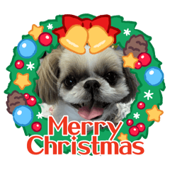 cocoa_20251218095629