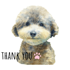 kotaro_20251217220143