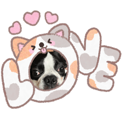 manekichi no nichijiyou2