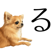 Chihuahua Hiragana2