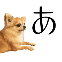 Chihuahua Hiragana
