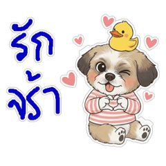 Jack Music Studio_20251217184710