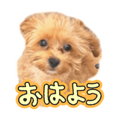 Hinata_20251217230700