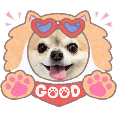 morimi_20251217230420