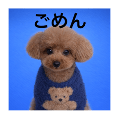 national treasure_20251217231227