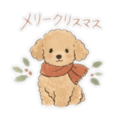 Christmas & New Years