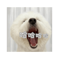 娜娜寶貝&為了送人重新上架版本