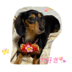 kanachi_20251218000852