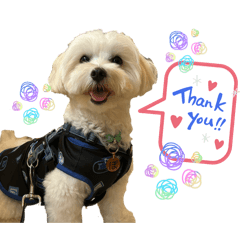 pooochi_20251218005048