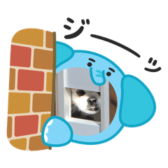 ikrt43431_20251218074649