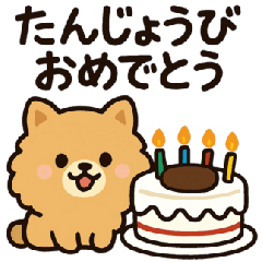 Cute Pomeranian Daily Sticker!