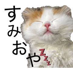 Motsu_20251218081211