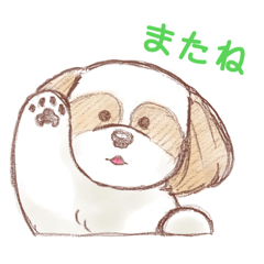 marina_20251218102737