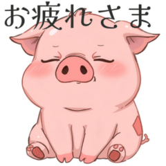 Cute Piggy for Everyday Chats2