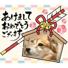 azuki.m_20251216185607