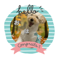 omochimaru_20251218120429