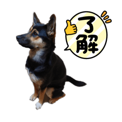 mickey_20251218123115