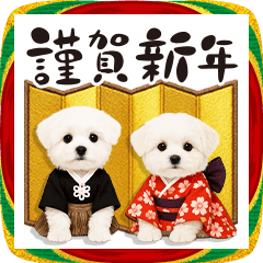 【午年】飛出!推しのこマルチーズ✨愛犬年賀