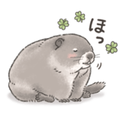 おっとりウッドチャックさん