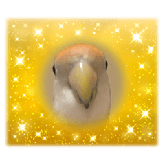 Sugar_20251218103354