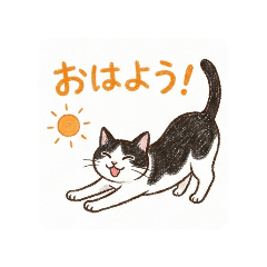 maimai.k_20251218123226