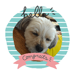 ik6wk5_20251218125639