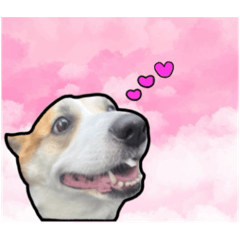 shinn_20251216190707