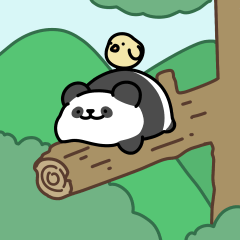 Chubby panda pondoo 2