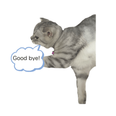 Munich_20251218124053