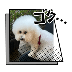 Uchinokotachi_20251216142213