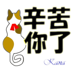 cocoGUM_20251216153918