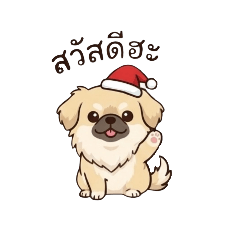 TonZa_20251218091244