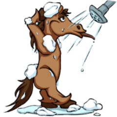 Twelve Chinese Zodiac