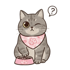 圍兜兜小虎斑:日常賣萌篇