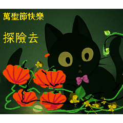 粉領帶黑貓女！停電萬聖節，白晰版