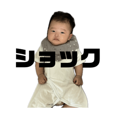 nitako_20251217000927