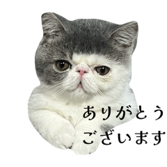 honey_20251217001828