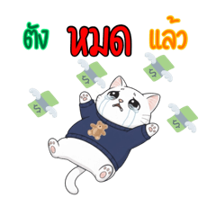 Kenika_20251218003413