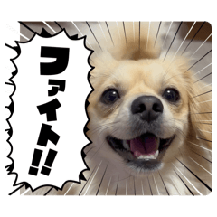 kobahiro_20251218144232