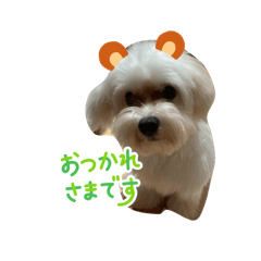 mochi_20251218161203