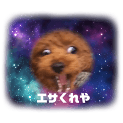 wwwwmzkntv_20251218145548