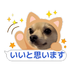 YAMASAN_20251219090312