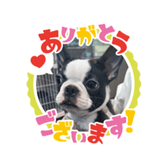 sayana_20251218172637