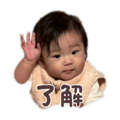 shima_20251218172622