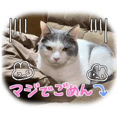 kawauso_20251218203243