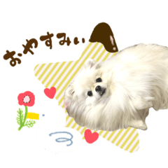 arisa_20251218203644