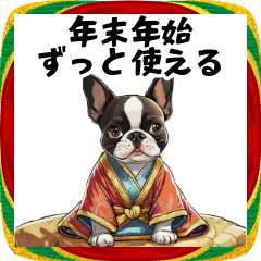 年末年始も使えるボストンテリアBIG