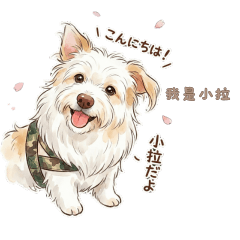 Yvonne的最棒小拉