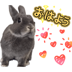 Summer_20251218212747