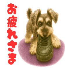 Karin & Rinnas Cozy Sister Days